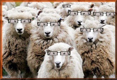 sheep_with_glasses_frames_1217472309.jpg