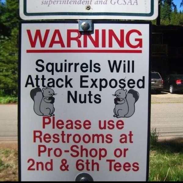 funny-squirrel-attack-nuts-sign.jpg