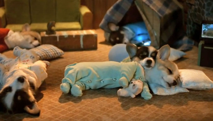 puppies-pajamas.jpg