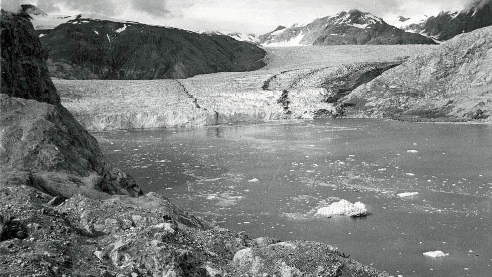 Muir+Glacier+and+Inlet+(1950)+-+Photos+of+Alaska+Then+And+Now.+This+is+A+Get+Ready+to+Be+Shocked+When+You+See+What+it+Looks+Like+Now..jpg