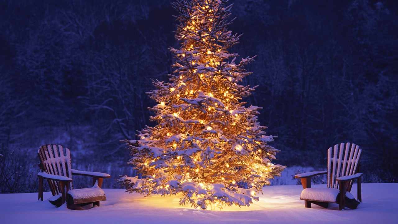 Christmas_Tree_in_Snow_Wallpaper_1280x720_wallpaperhere.jpg