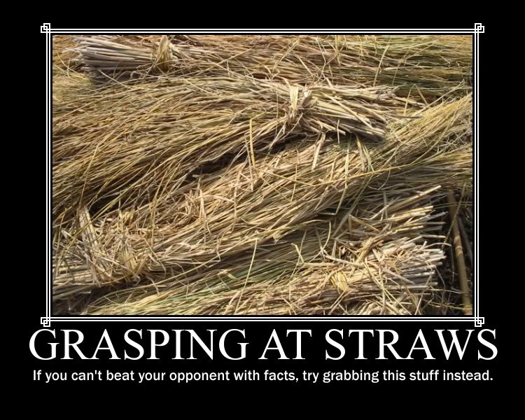 Grasping+at+Straws.jpg