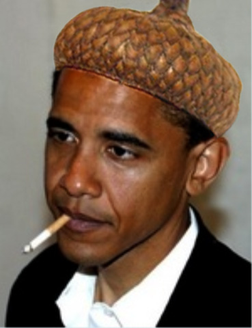 obama-acorn-head.jpg