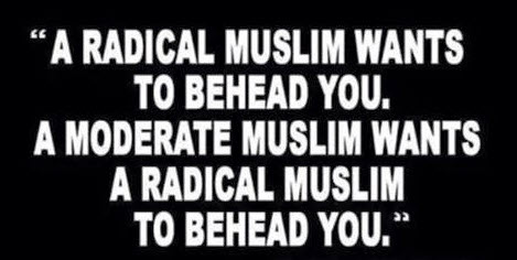 Muslim-Radical-vs-Moderate.jpg