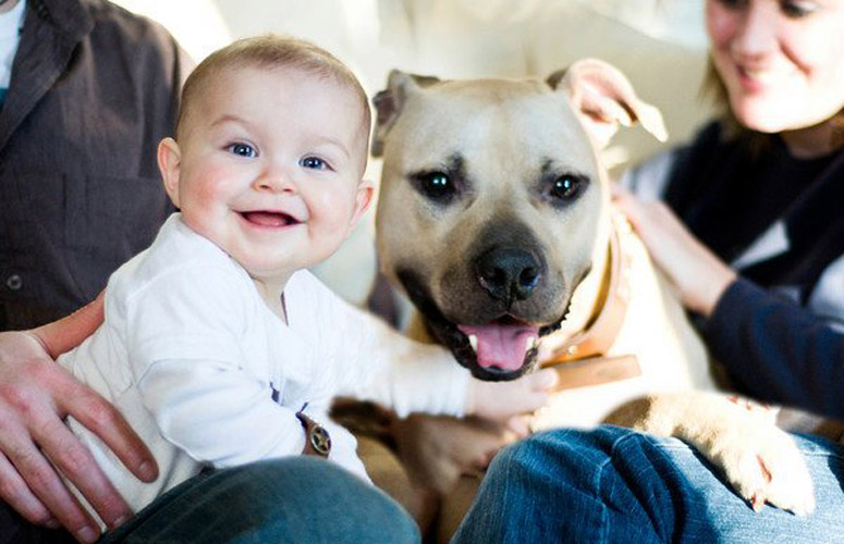 SIStubbyDogPhotoShoot.jpg