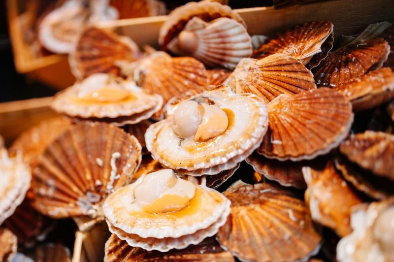 Hepatitis-A-outbreak-traced-to-scallops-from-Philippines-officials-say.jpg