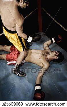 boxer-standing-above_~u25539069.jpg