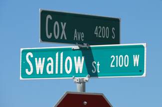 CoxSwallow.jpg