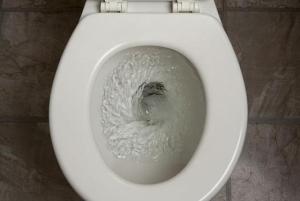 Toilet-Flushing-300x201.jpg