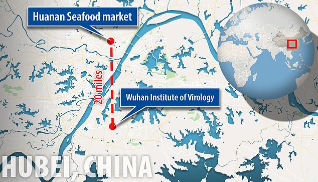 The-Wuhan-National-Biosafety-Laboratory-is-located-about-20-miles-away-from-the-Huanan-Seafood-Market-.jpg