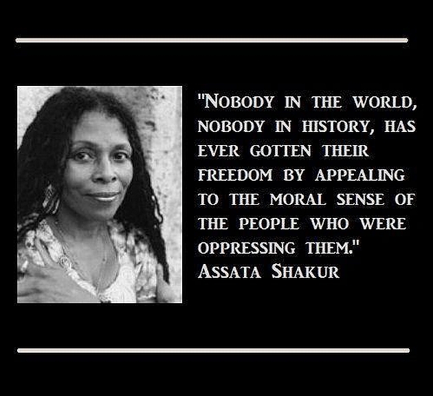 assata-shakur-nobody-in-the-world-nobody-in-history-has-ever-gotten-their-freedom-by-appealing-to-the-moral-sense-of-the-people-who-were-oppressing-them.jpg