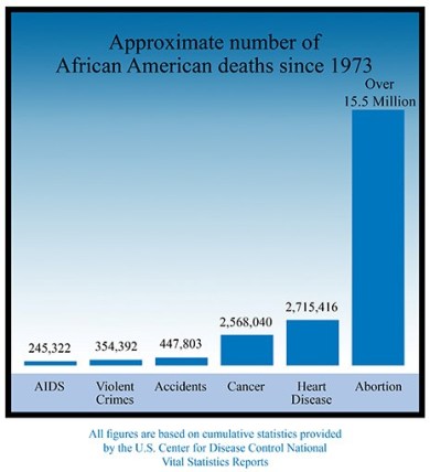 African-American-deaths-since-1973.jpg