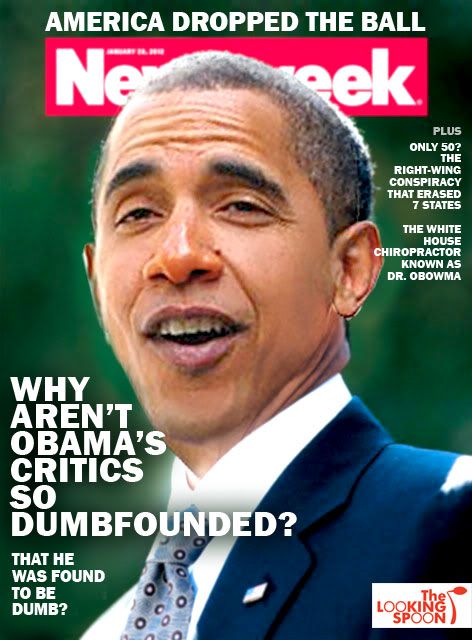 newsweek_why_are_obamas_critics_dumb.jpg