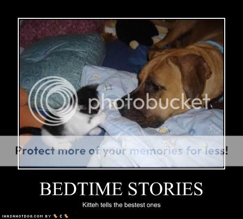 funny-dog-pictures-bedtime-stories.jpg
