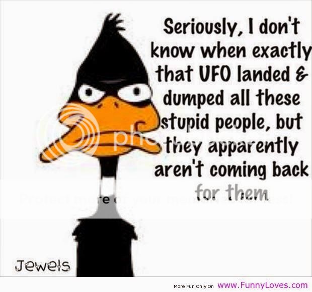 funny-quotes-daffy-duck-quotes.jpg
