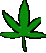 marijuana_icon.gif