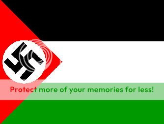 swastika_flag.jpg