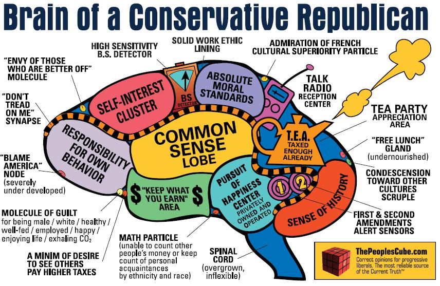conservative-republican-brain.jpg