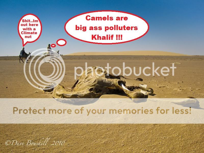 Sudan-Africa-Camel-Desert.jpg