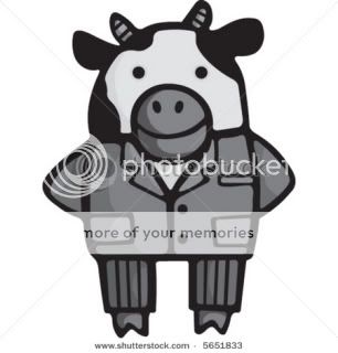 stock-vector-a-cute-cow-cartoon-illustration-5651833.jpg
