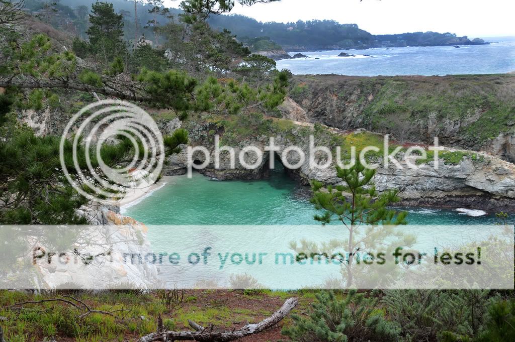 Point-Lobos1032web.jpg
