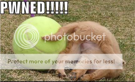 cute-puppy-pictures-ball-pwned-puppy.jpg