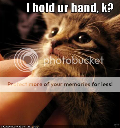 lolcats_holdhands.jpg