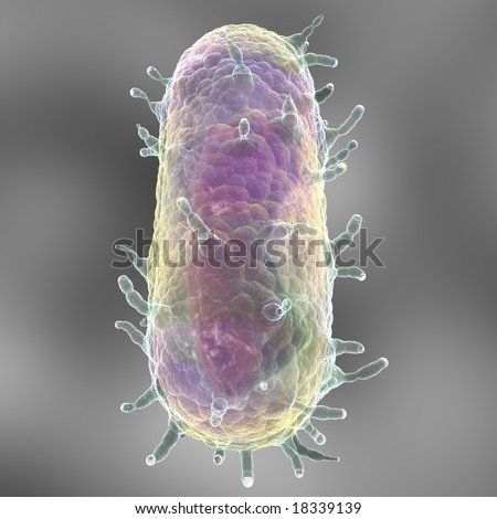 stock-photo-bubonic-plague-this-is-a-d-representation-of-the-yersinia-pestis-bacteria-better-known-as-the-18339139.jpg