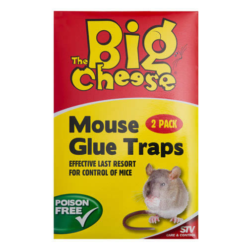 mouse_glue_trap_box.jpg
