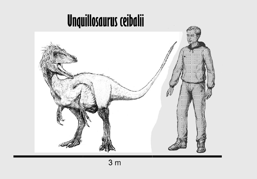 dinosaurpictures.org