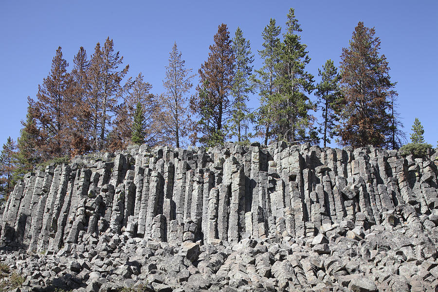 1-basalt-columns-formed-by-cooling-lava-richard-roscoe.jpg