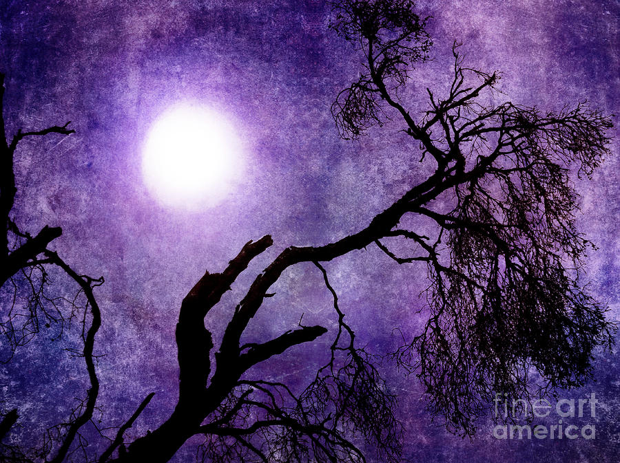 tree-branch-in-purple-moonlight-laura-iverson.jpg