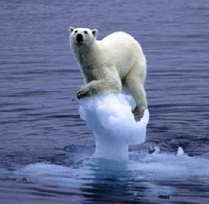 Ice-is-melting-save-the-world-13249212-300-294.jpg