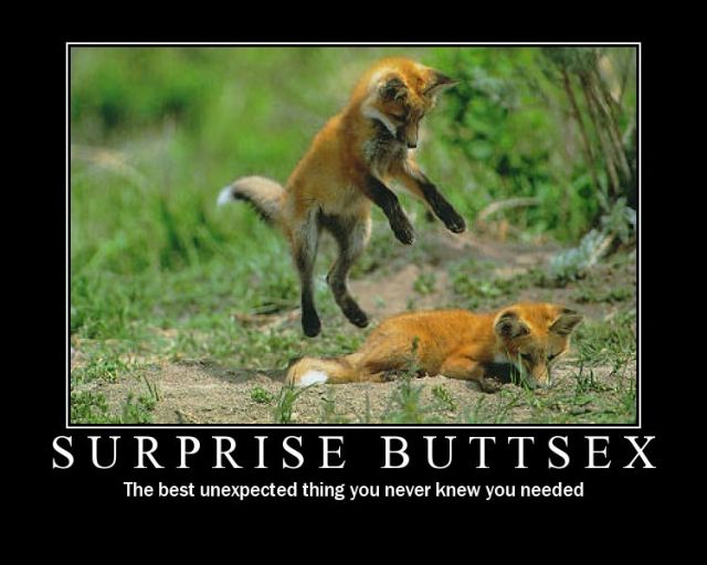 surprise-buttsex-stalker-buddies-26875685-640-512.jpg