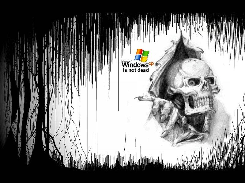 Windows-XP-is-not-dead-skeletons-34435672-800-600.jpg