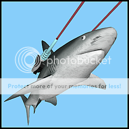 lasers_shark.png