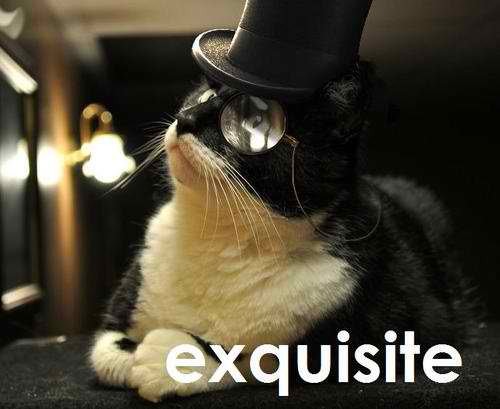 cat-top-hat-monocle-exquisite-12966703446.jpg