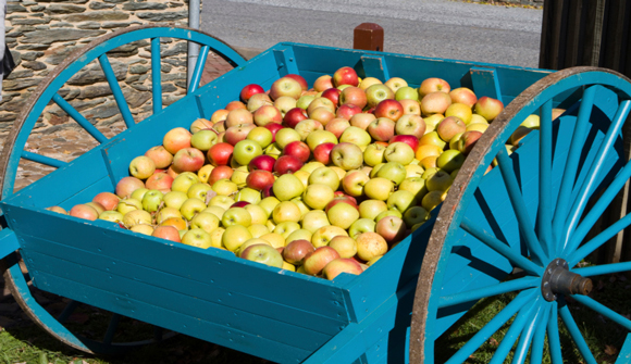 Apple-Cart.jpg