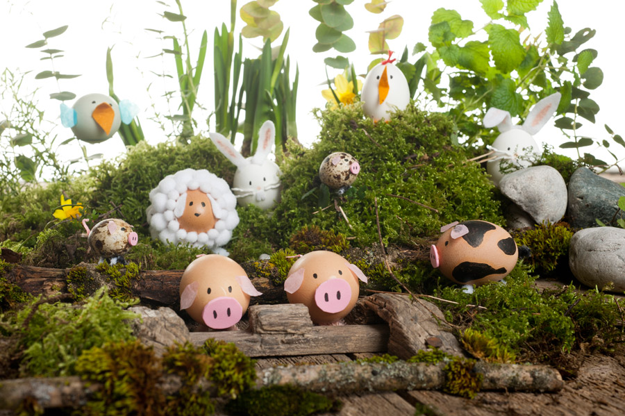 Easter-egg-animals-home-decoration.jpg