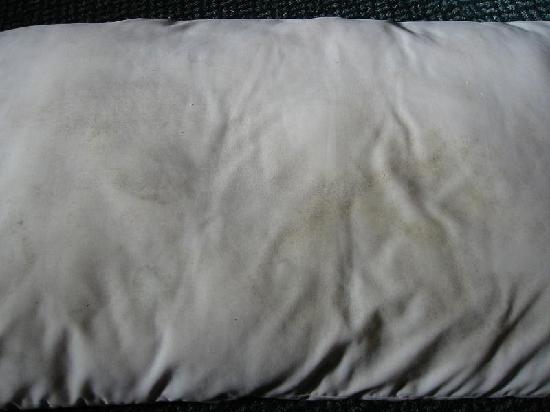 dirty-mouldy-pillow.jpg