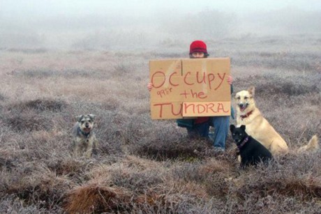 occupy-tundra-460x307.jpg