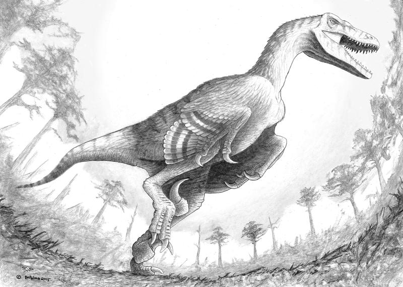 Dakotaraptor-drawing_0.jpg