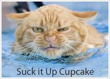 suck-it-up-cupcake1.jpg
