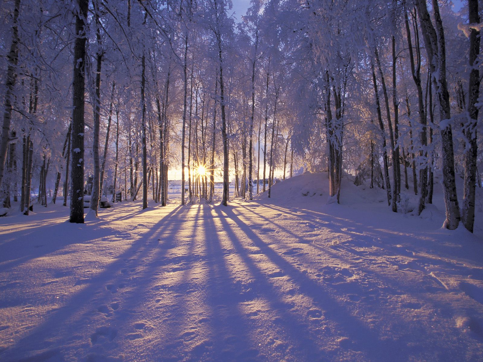 Winter-Solstice-2010.jpg