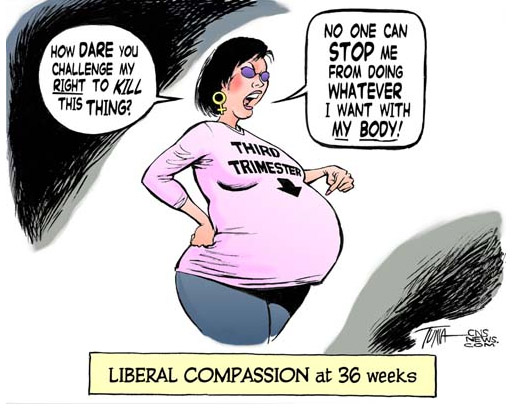 liberal-compassion-at-36-weeks.jpg