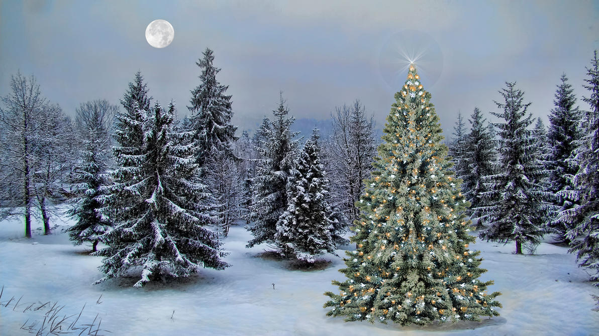 christmas_tree_2013_by_frankief-d6yueix.jpg