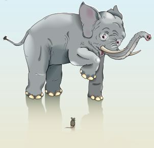 elephant-mouse.jpg