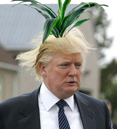 trump-plant.jpg