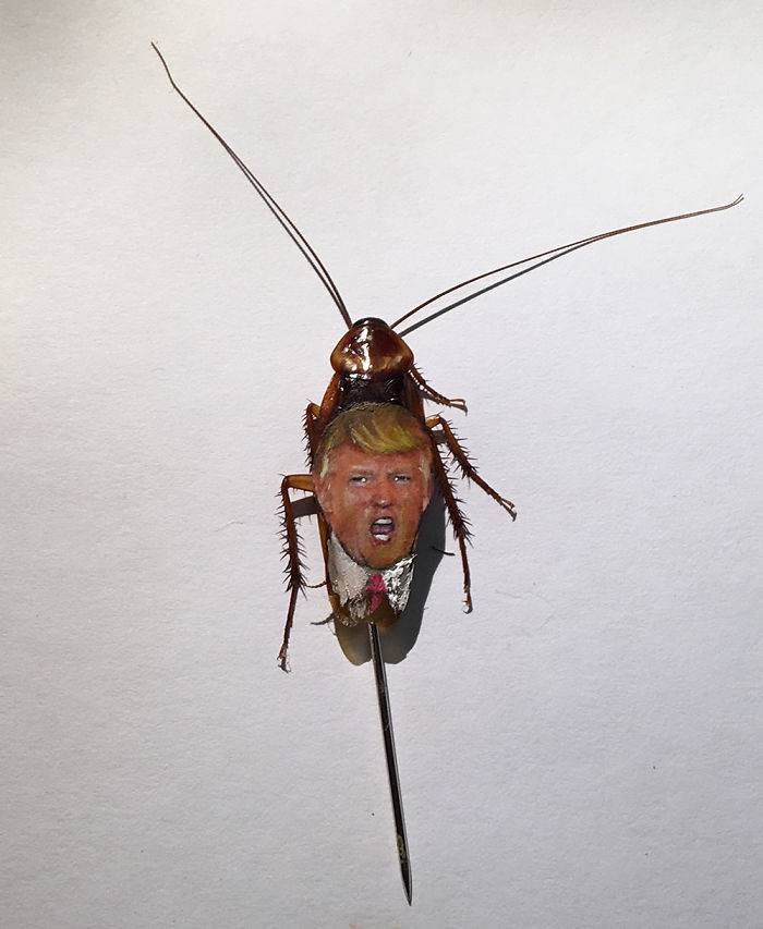 Artist-paints-Donald-Trump-and-Vladimir-Putin-on-Real-Cockroaches-5902e7499721d__700.jpg