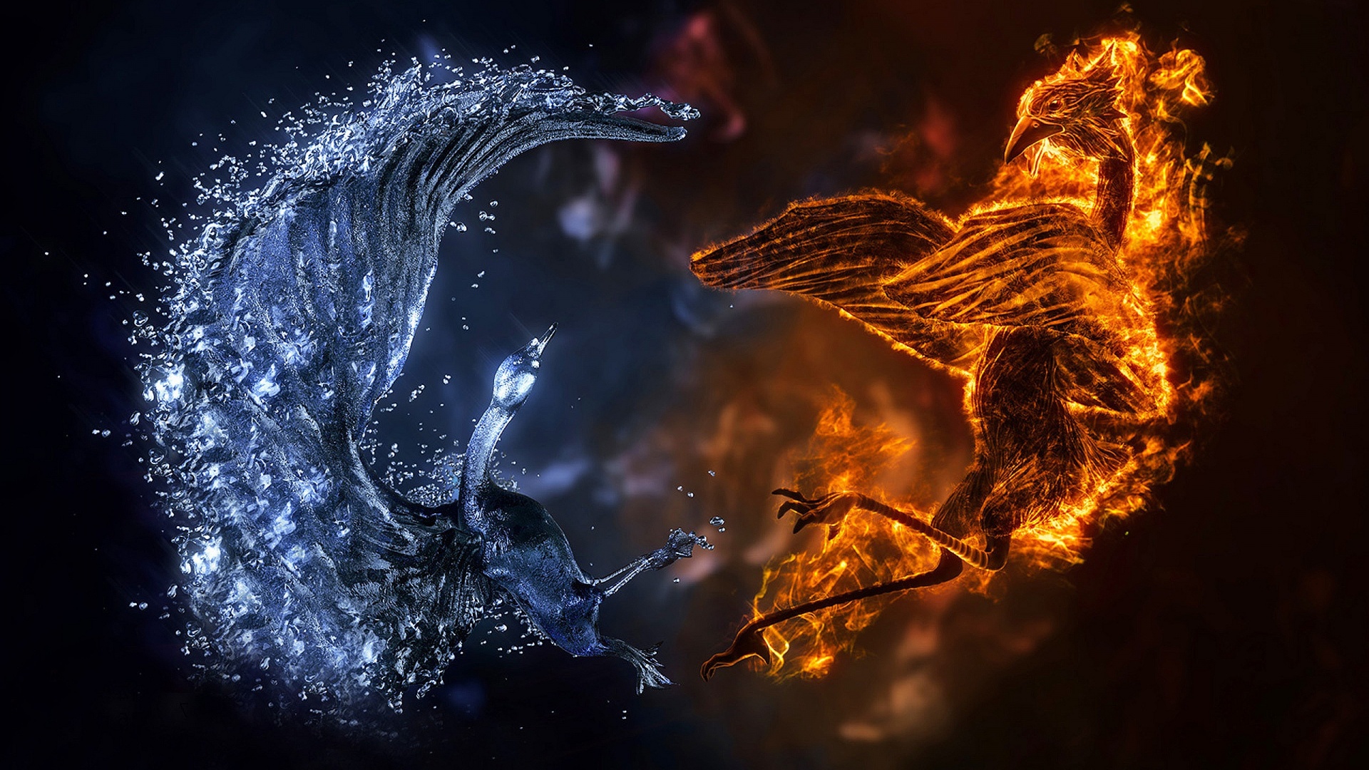 tumblr_static_bird-ice-vs-fire-wallpaper-hd.jpg